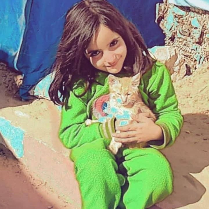 Sorry, no caption provided by author