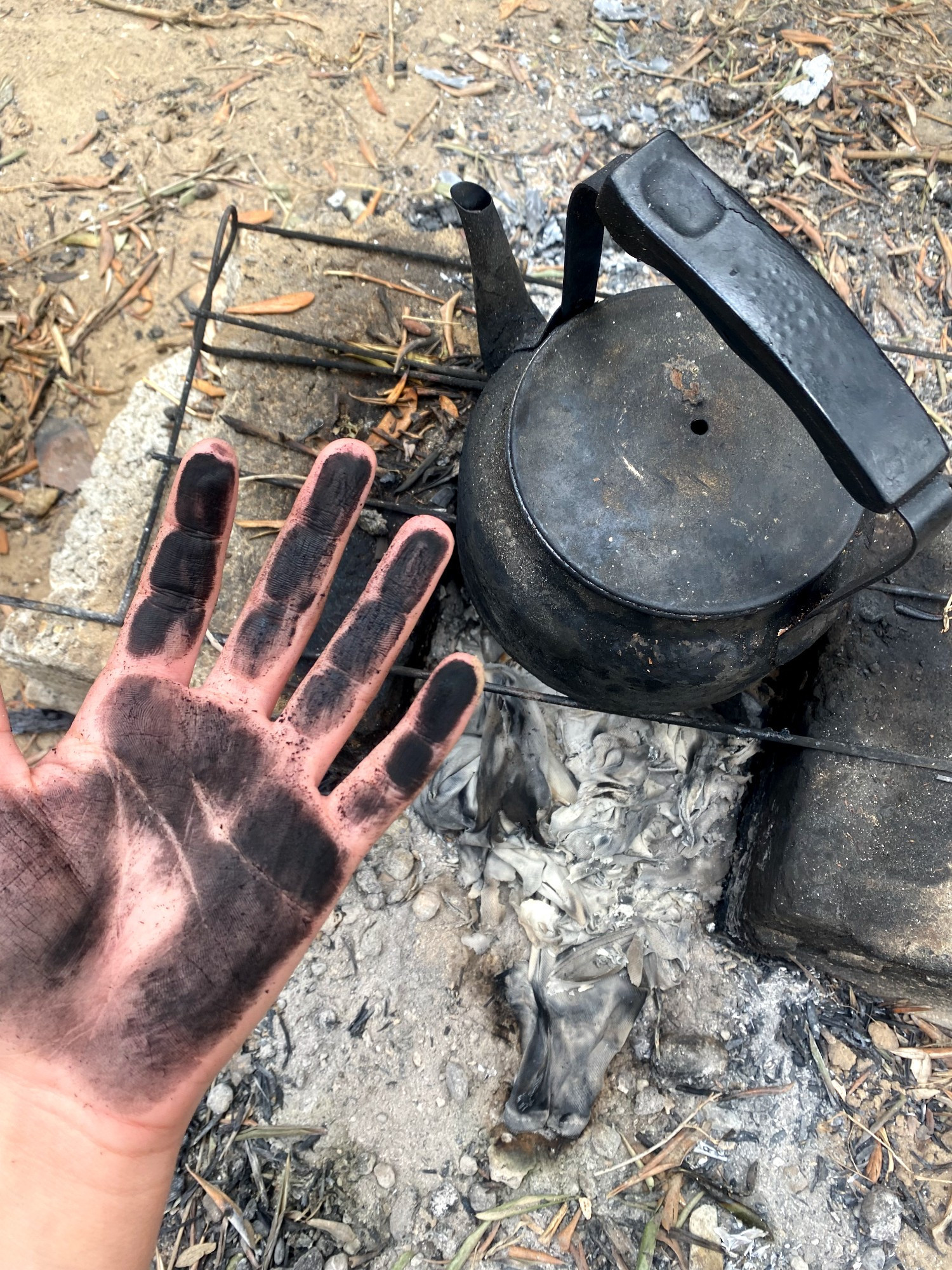 Sorry, no caption provided by author