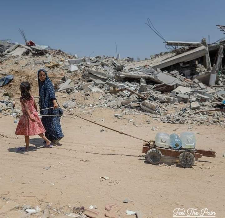 Sorry, no caption provided by author