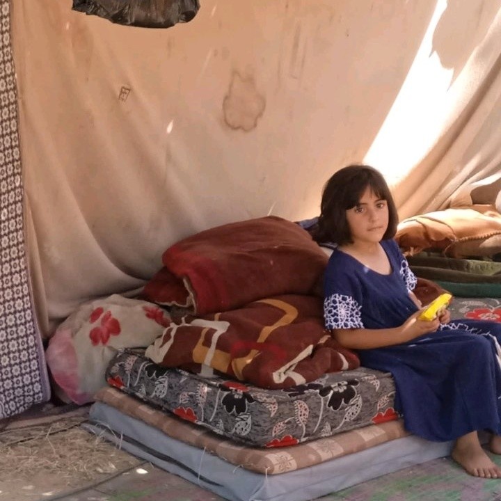 Sorry, no caption provided by author